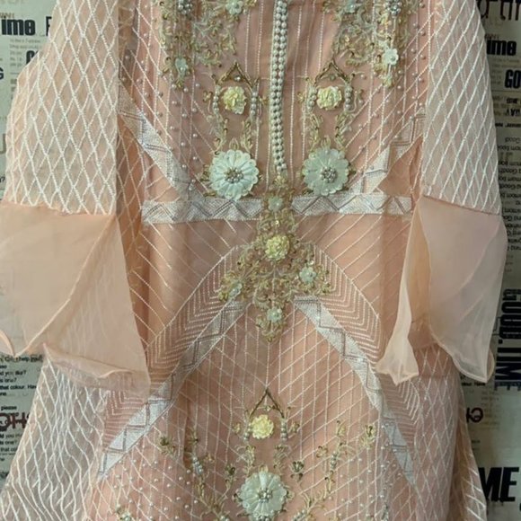 Pink organza suit with dupatta and pant - Picture 2 of 4